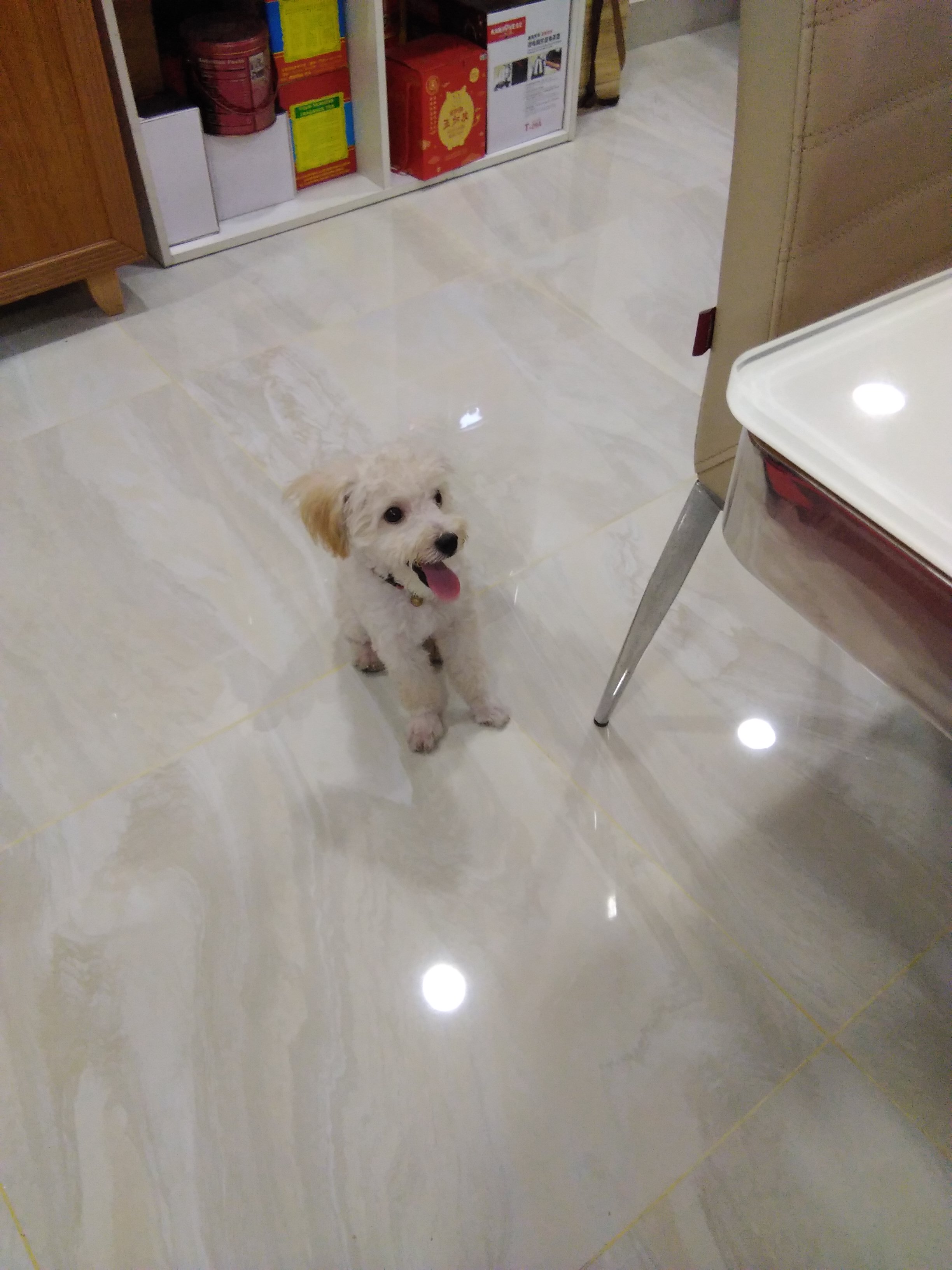 JPEG_20190702_202956.jpg