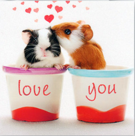 love342x346.jpg