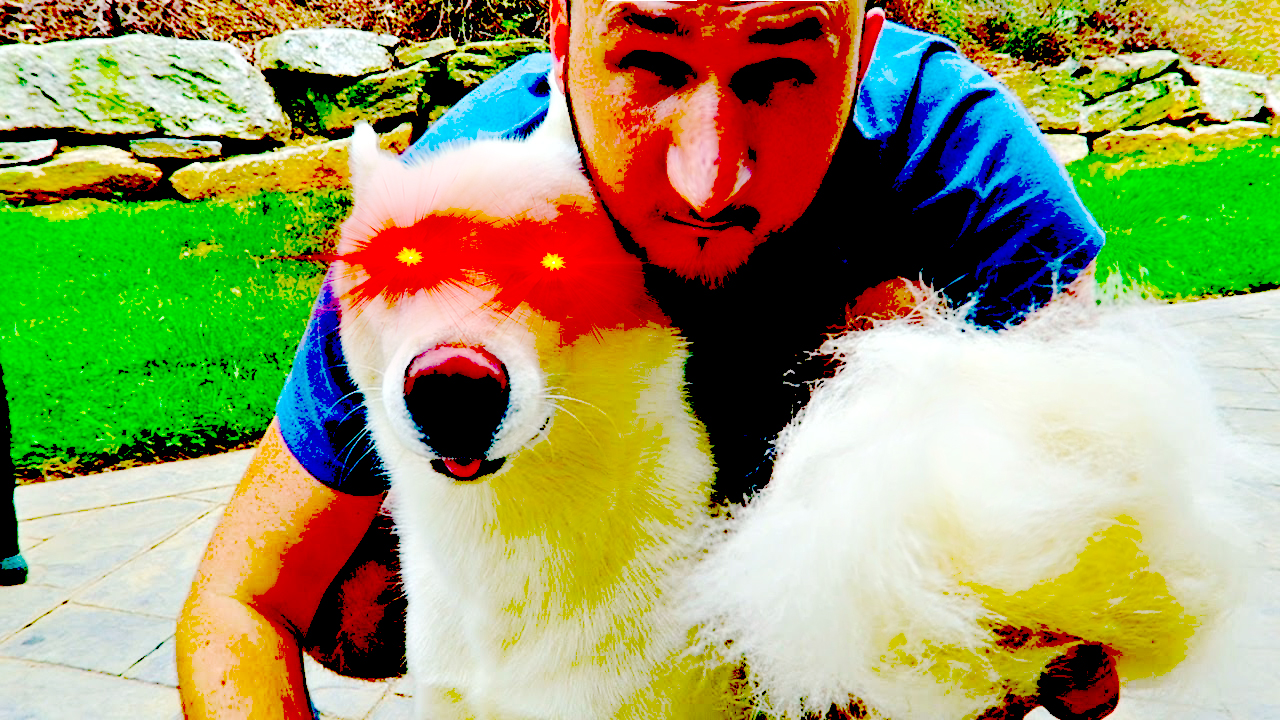 maxresdefault (2).jpg