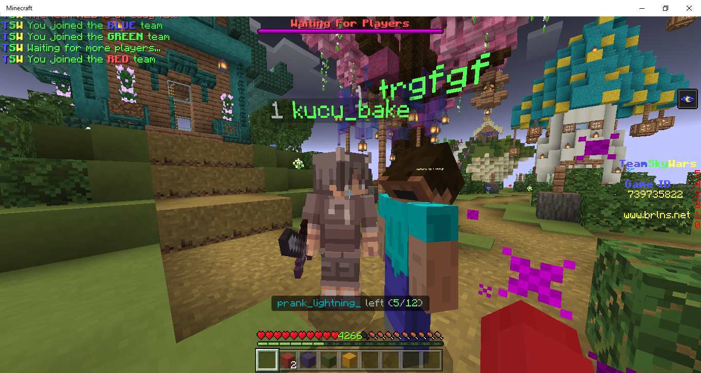 Minecraft 01_20_2022 3_25_34 pm.png