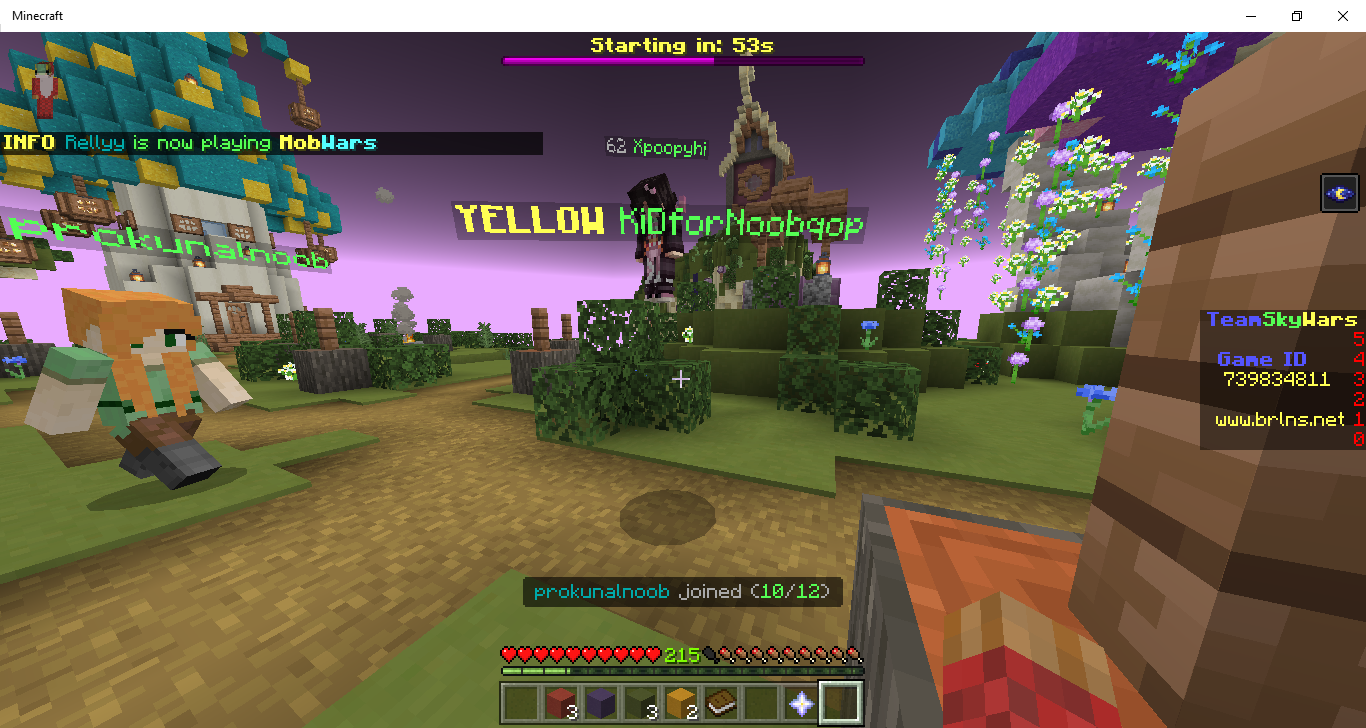 Minecraft 01_31_2022 5_23_04 pm.png