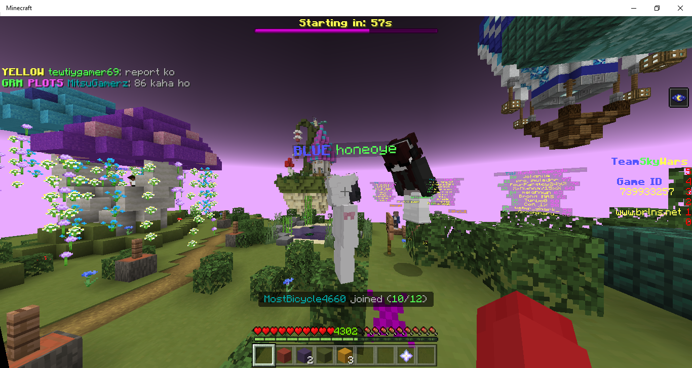 Minecraft 02_12_2022 3_06_02 pm.png