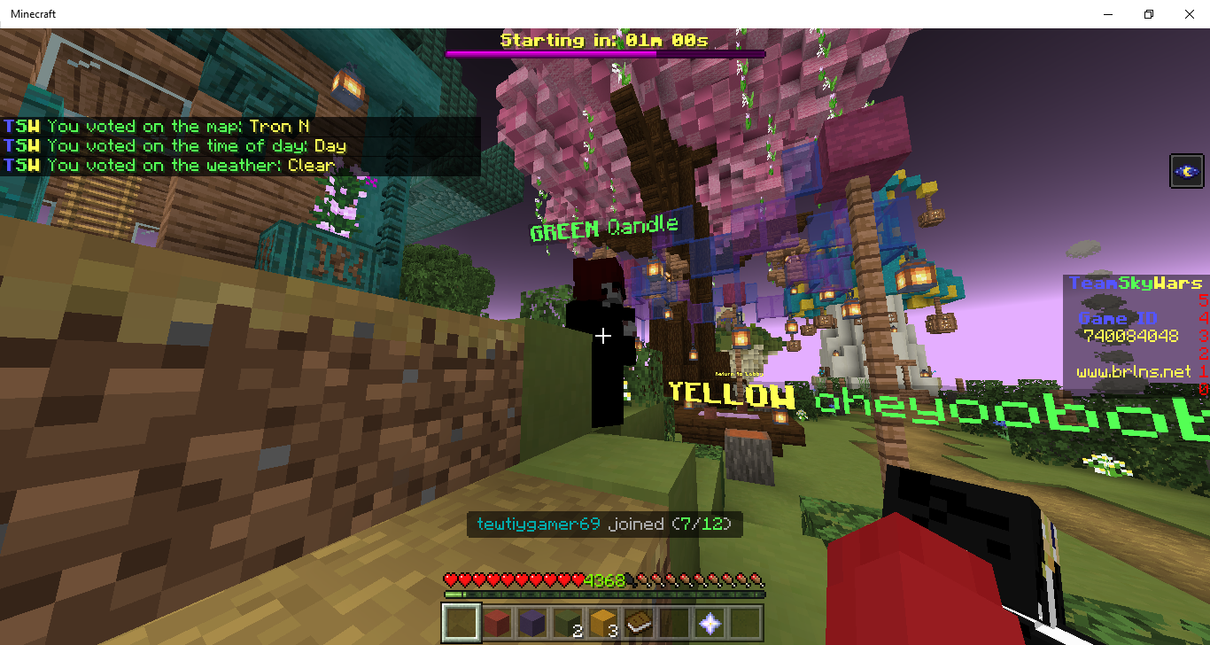 Minecraft 03_02_2022 3_56_33 pm.png
