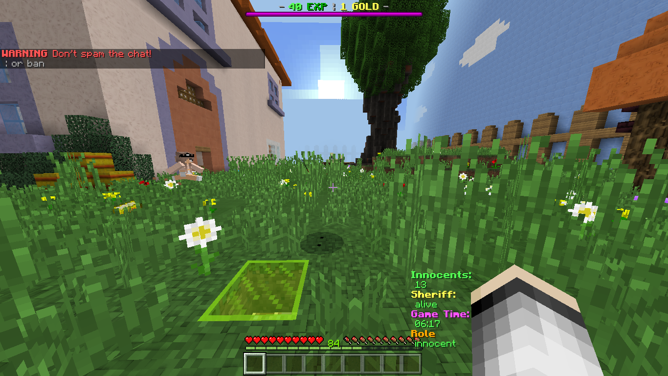 Minecraft 05_10_2017 14_38_31.png