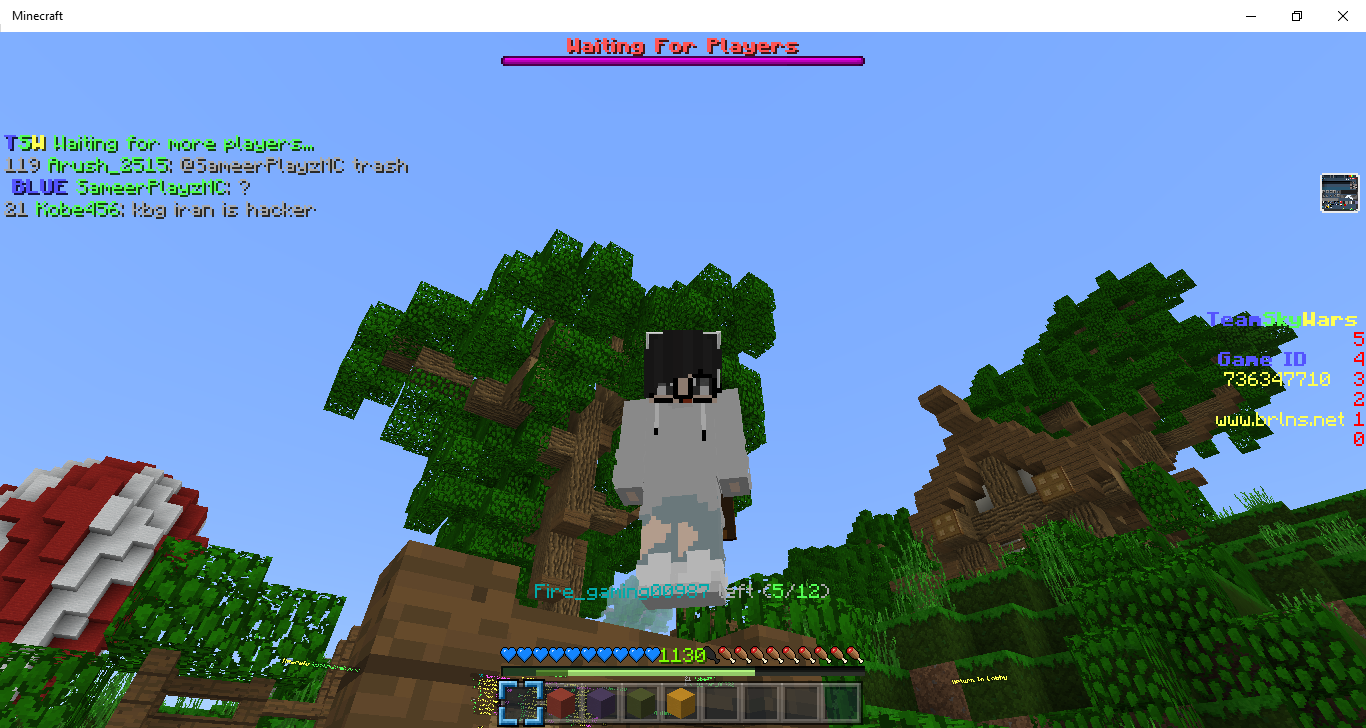 Minecraft 05_31_2021 5_26_09 pm.png