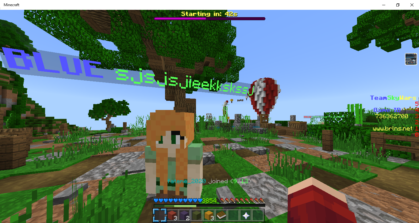 Minecraft 06_01_2021 3_31_02 pm.png