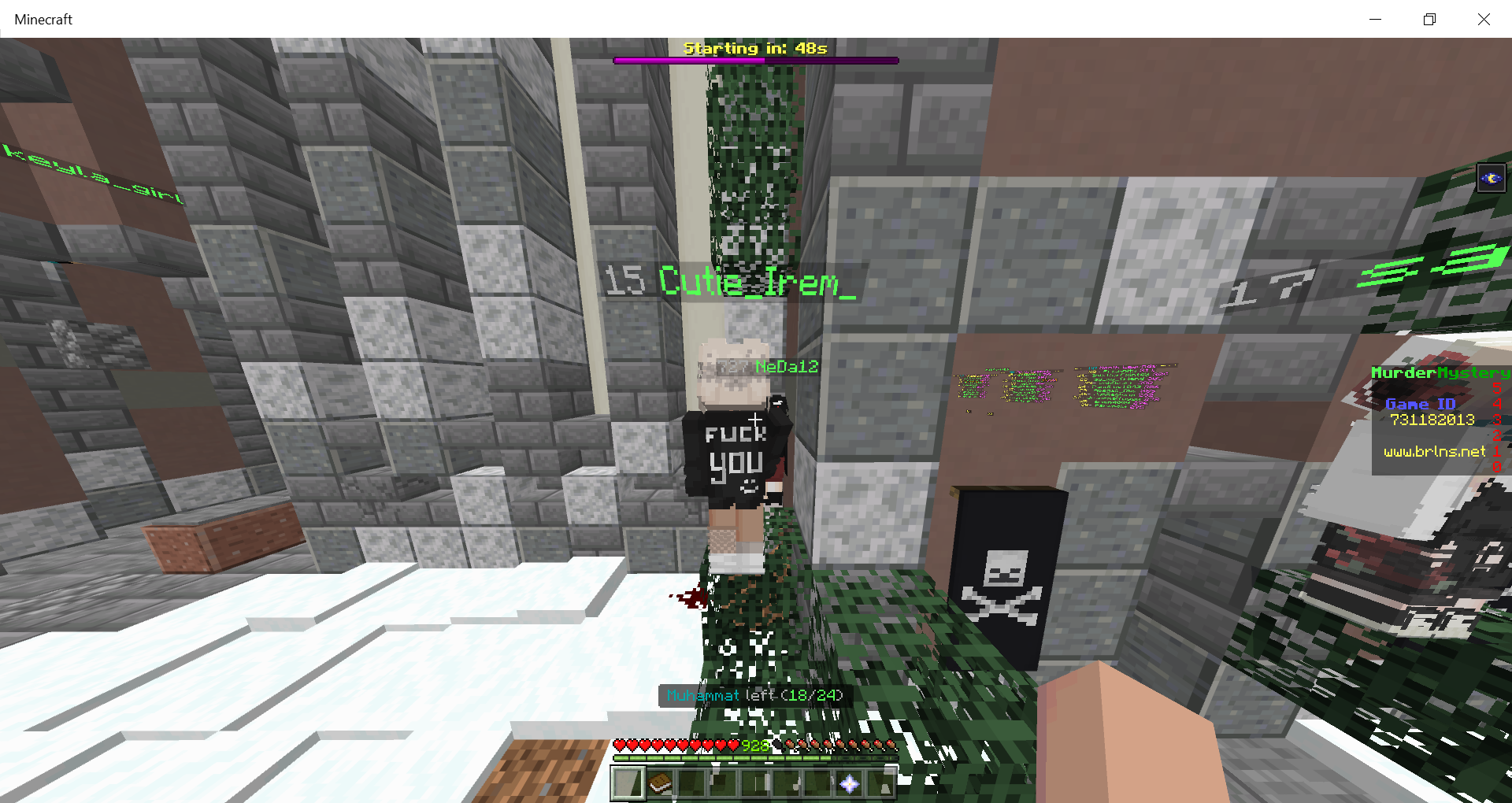 Minecraft 10_08_2020 11_31_03 PM.png