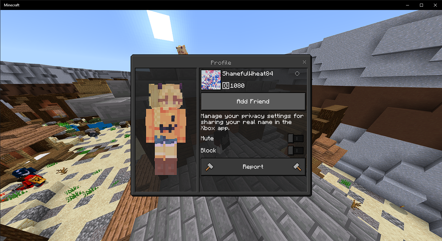 Minecraft 10_1_2020 6_09_17 AM.png