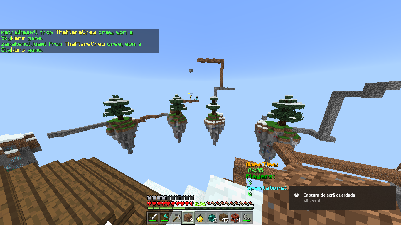 Minecraft 11_05_2018 20_08_44.png