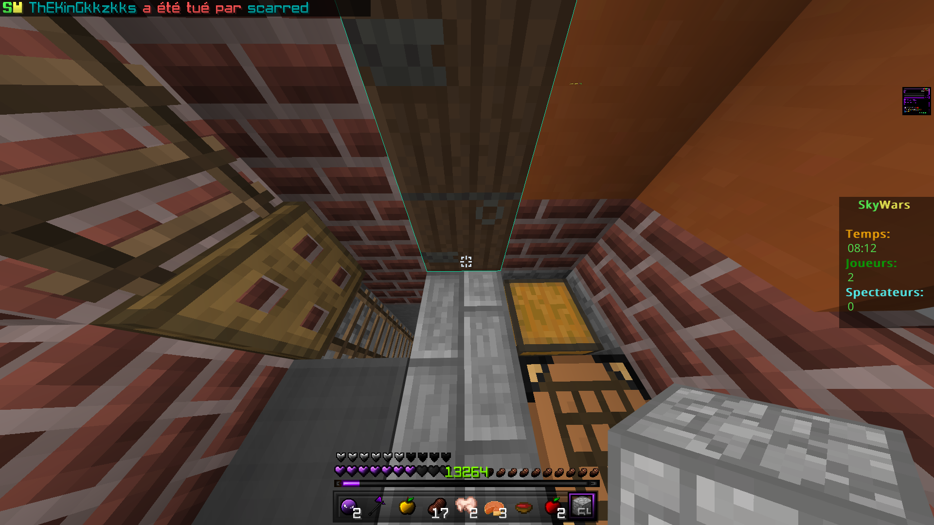 Minecraft 11_11_2020 3_02_16 PM.png