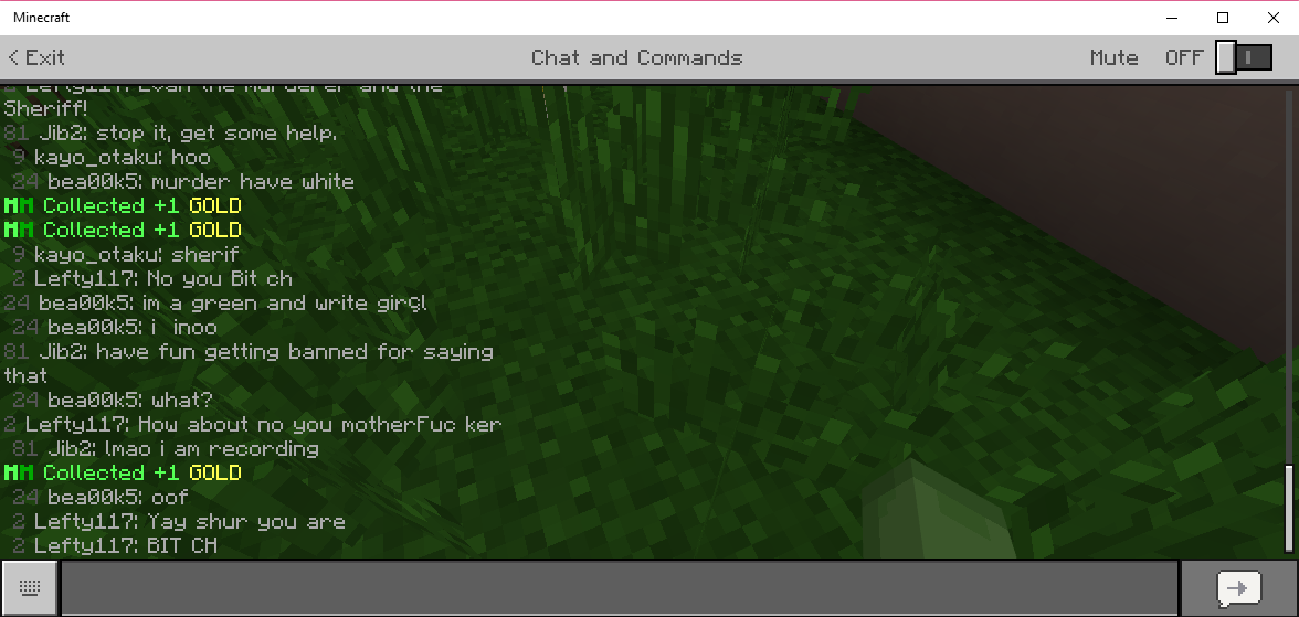 Minecraft 11_20_2018 4_33_40 PM.png