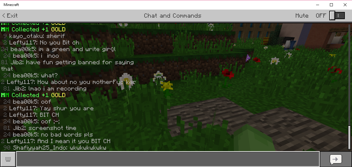 Minecraft 11_20_2018 4_34_06 PM.png