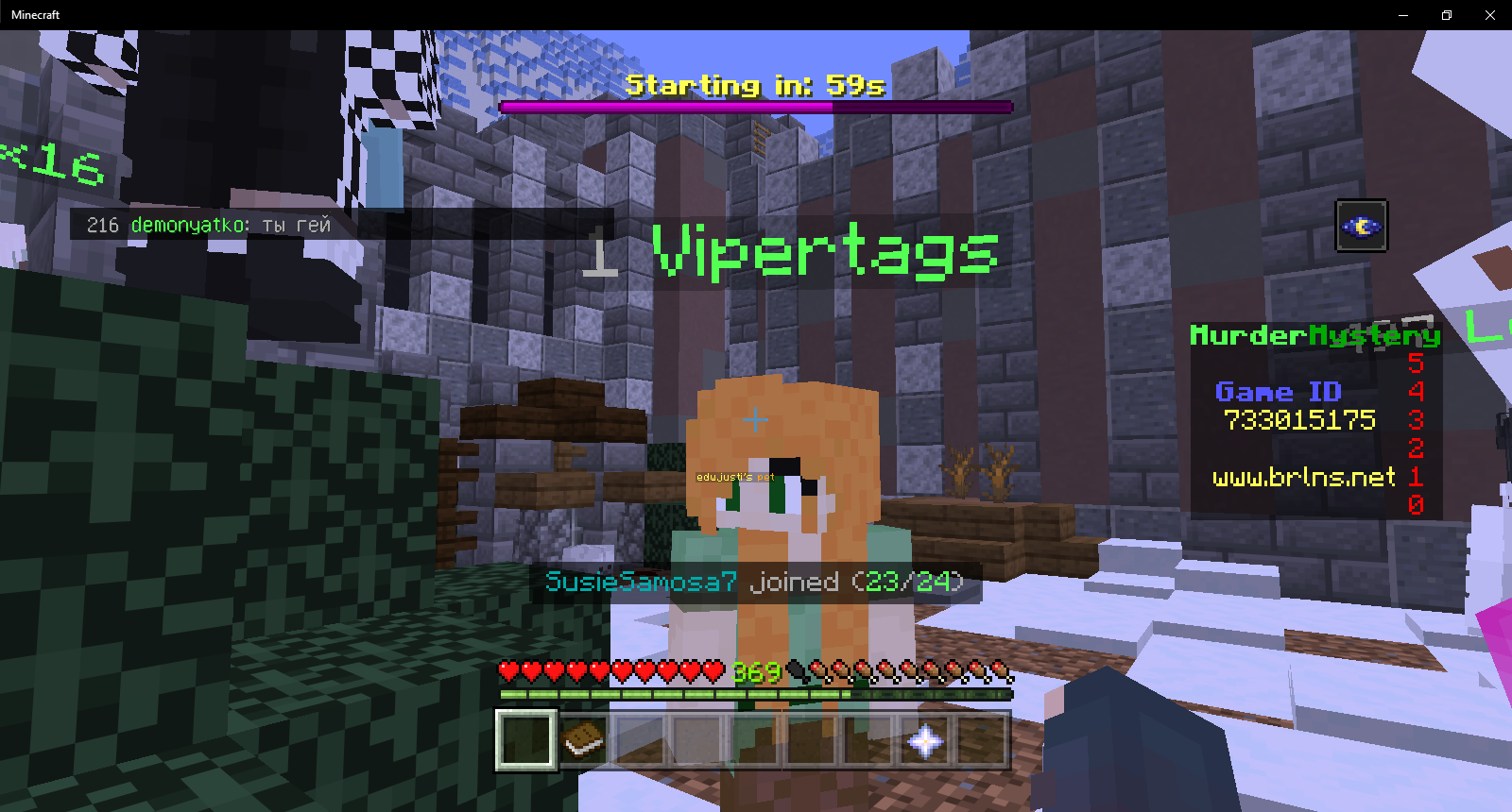 Minecraft 11_26_2020 11_34_25 AM.png