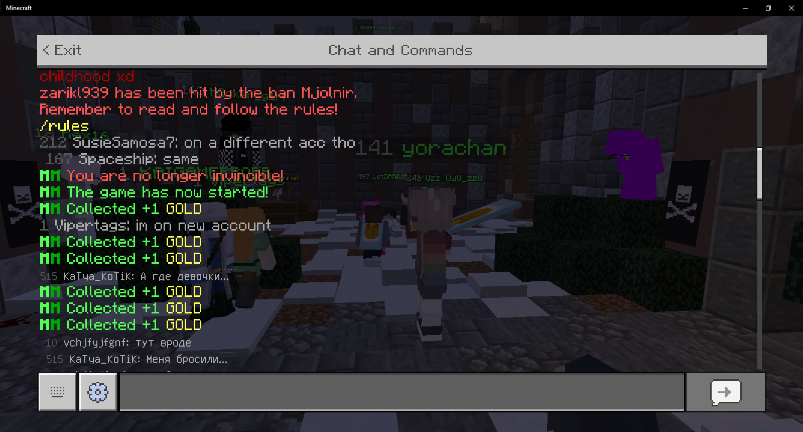 Minecraft 11_26_2020 11_34_43 AM.png