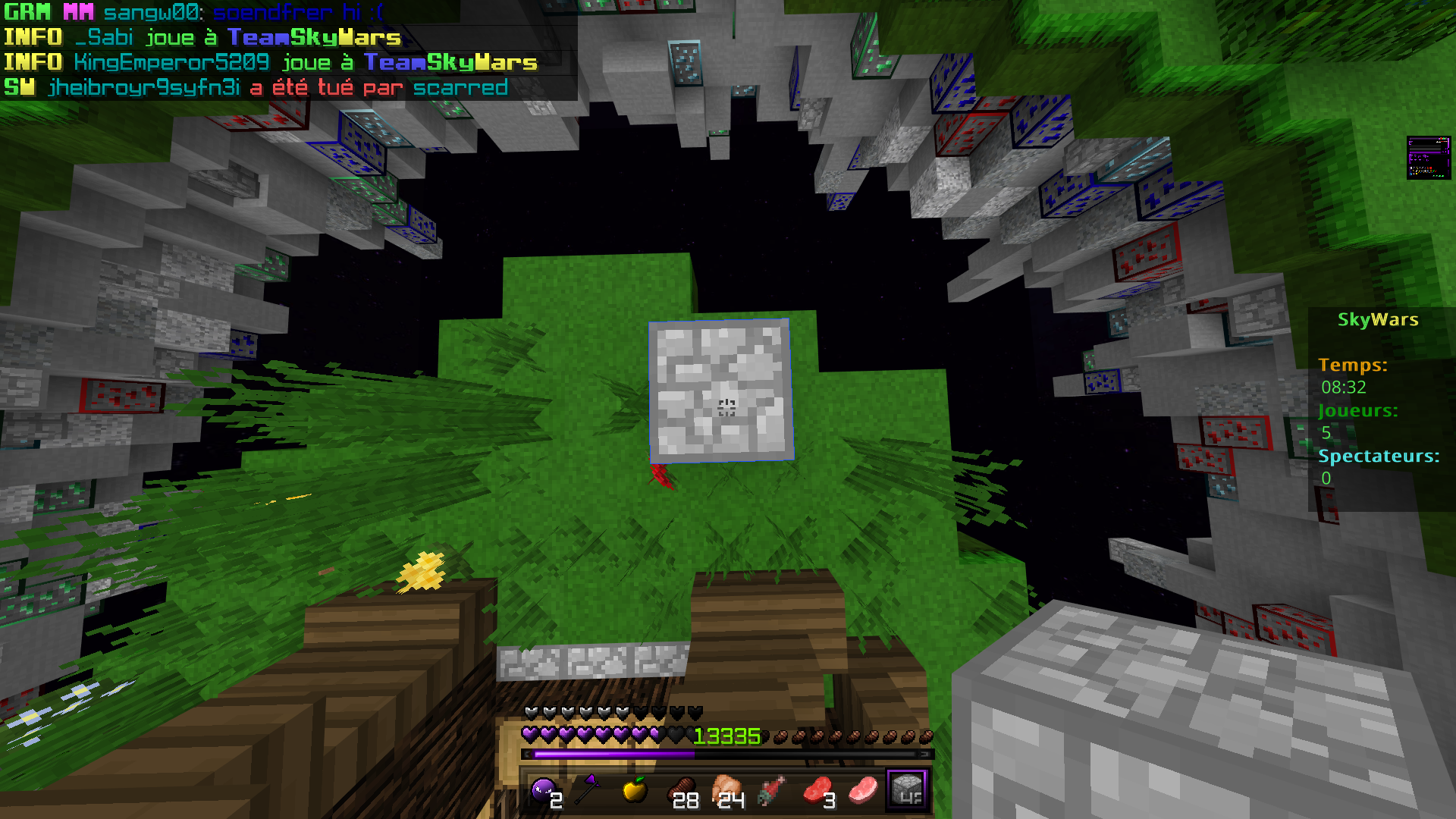 Minecraft 11_26_2020 2_46_44 AM.png