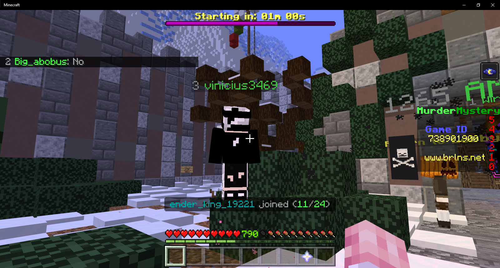 Minecraft 11_2_2021 4_36_18 PM.png