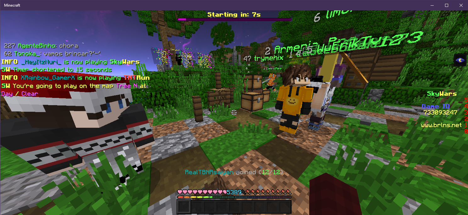 Minecraft 11_30_2020 9_27_42 PM.png