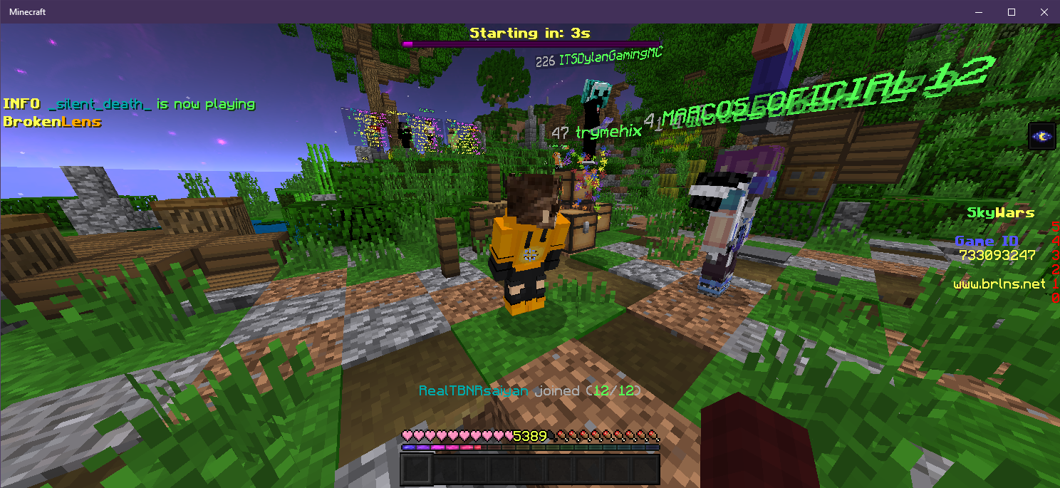 Minecraft 11_30_2020 9_27_47 PM.png