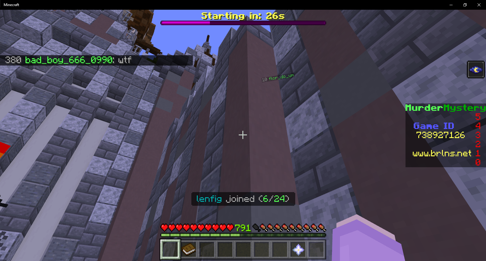 Minecraft 11_4_2021 4_23_11 PM.png
