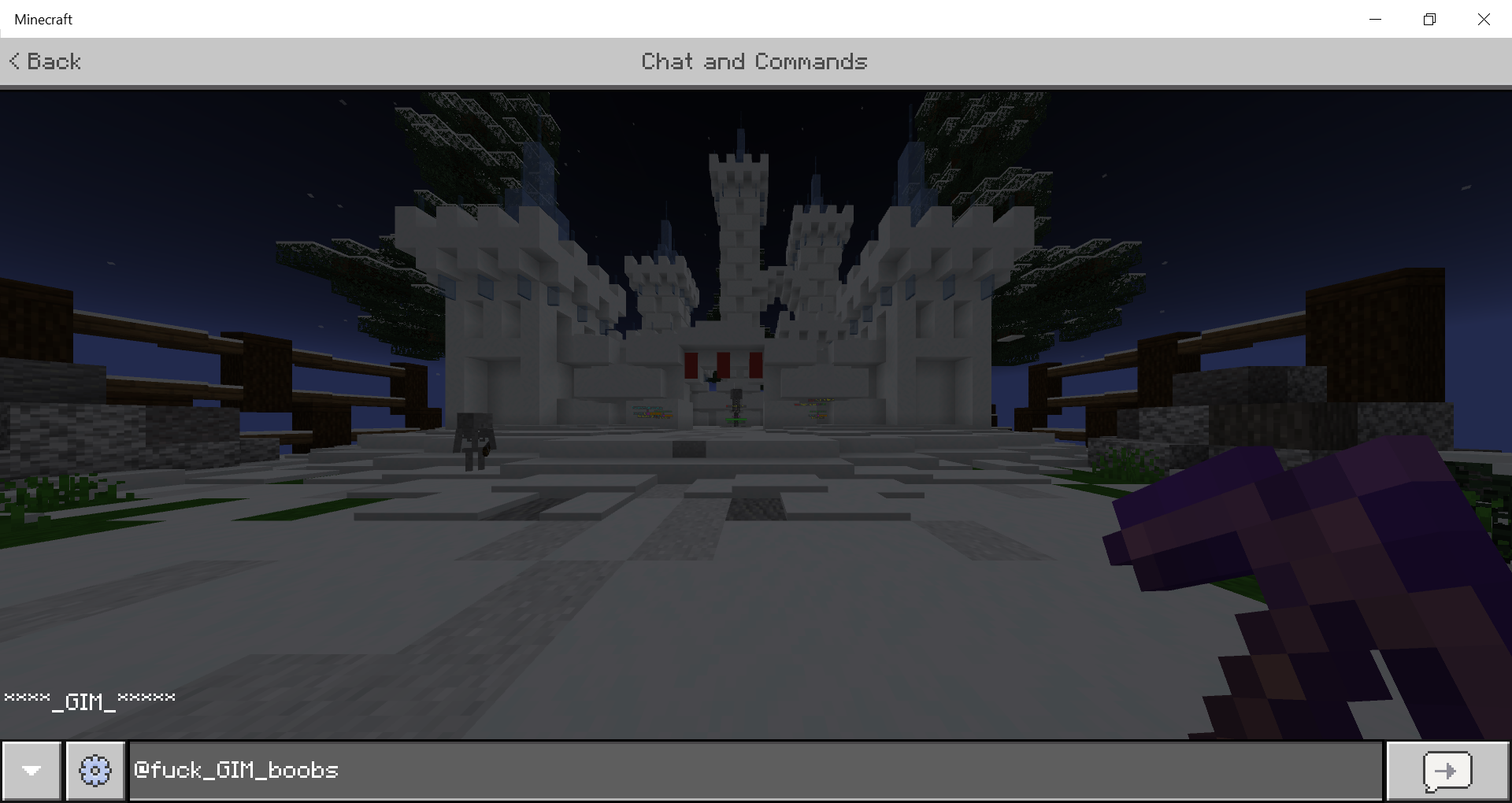 Minecraft 12_07_2020 6_56_55 PM.png