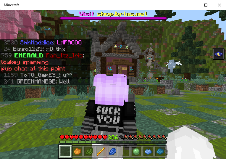 Minecraft 12_1_2019 5_35_39 PM.png