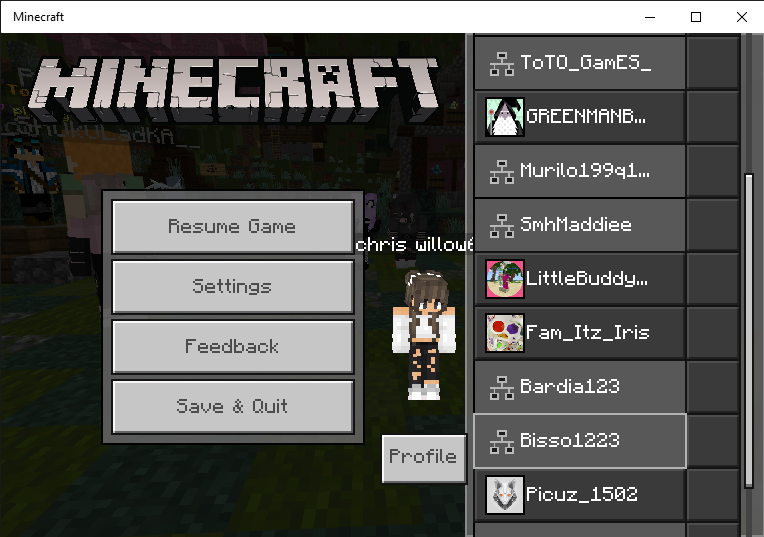 Minecraft 12_1_2019 5_35_55 PM.png