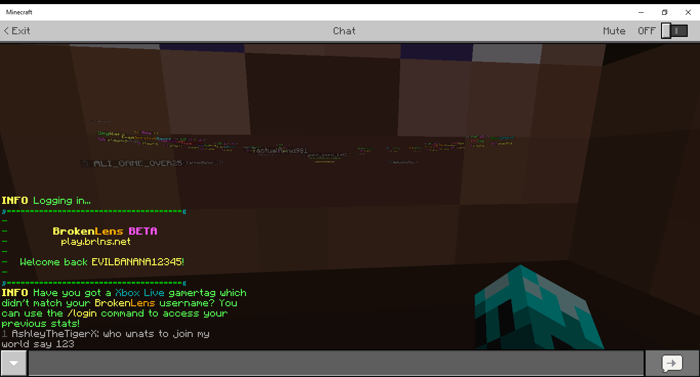 Minecraft 12_26_2017 12_05_13 PM.png