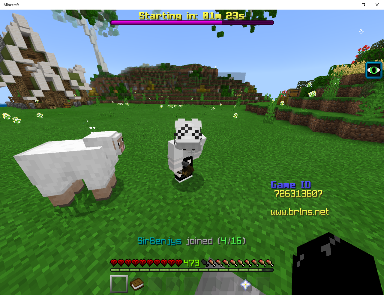 Minecraft 12_3_2019 1_27_21 PM.png