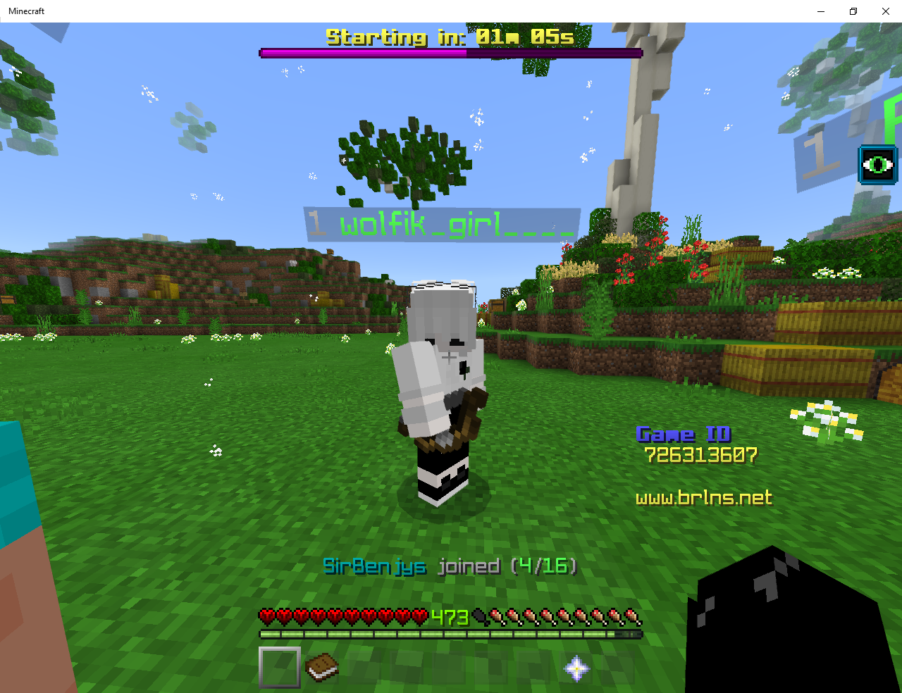 Minecraft 12_3_2019 1_27_39 PM.png