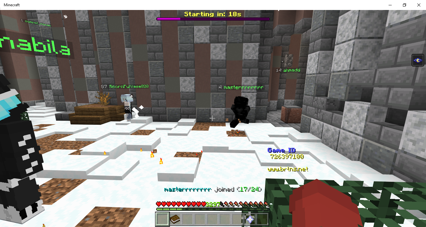 Minecraft 12_9_2019 3_40_53 PM.png