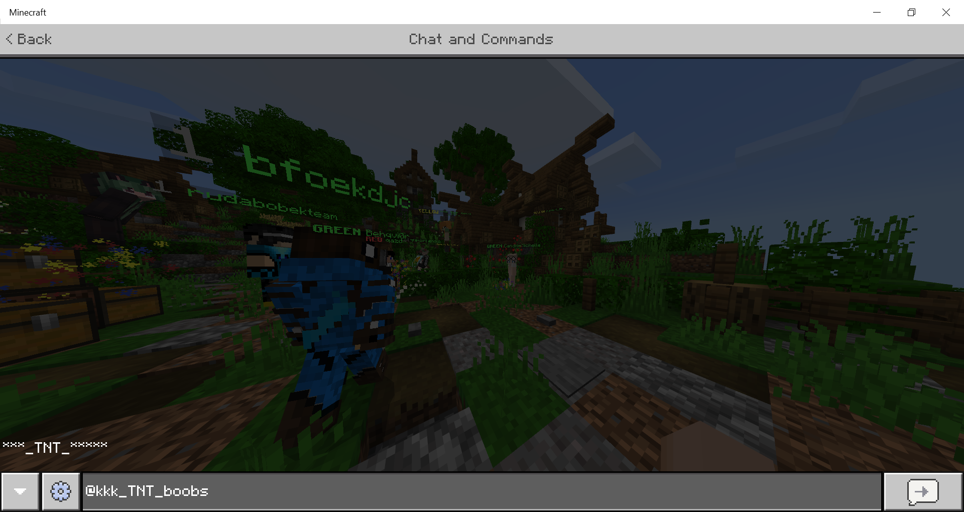 Minecraft 13_07_2020 9_04_27 PM.png