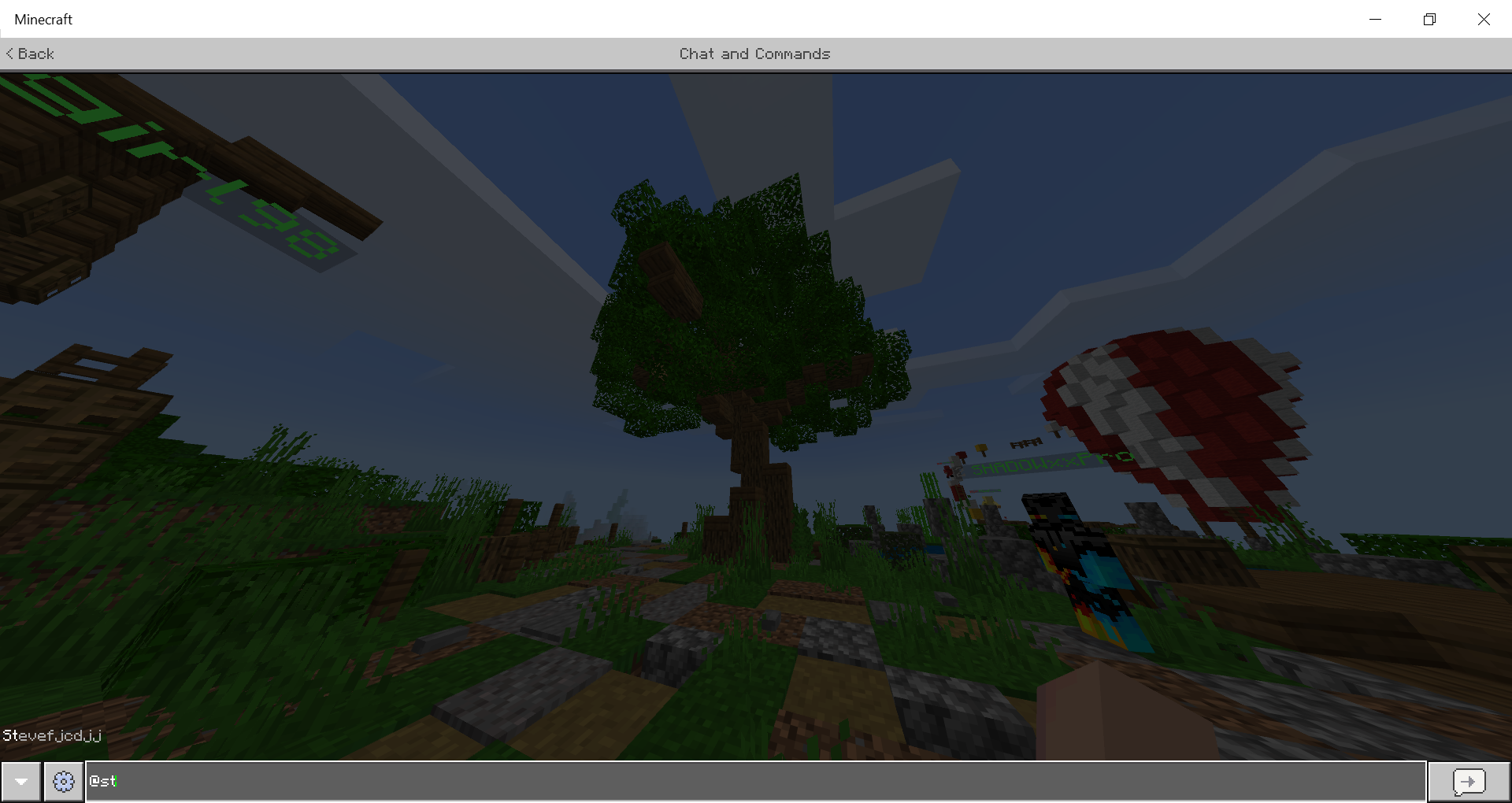 Minecraft 14_08_2020 10_52_27 PM.png