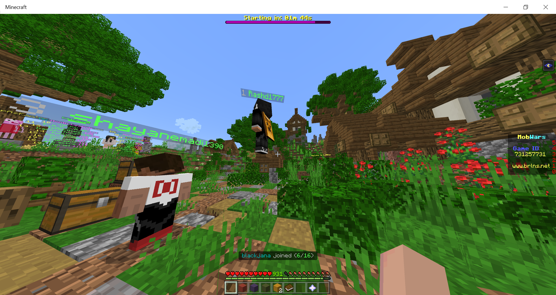 Minecraft 14_08_2020 7_05_47 PM.png