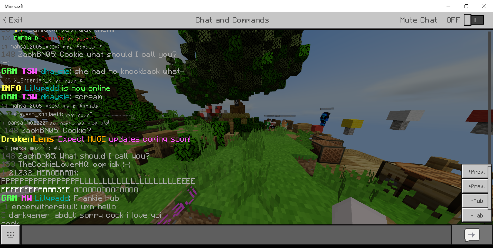 Minecraft 15_06_2020 8_42_35 PM.png