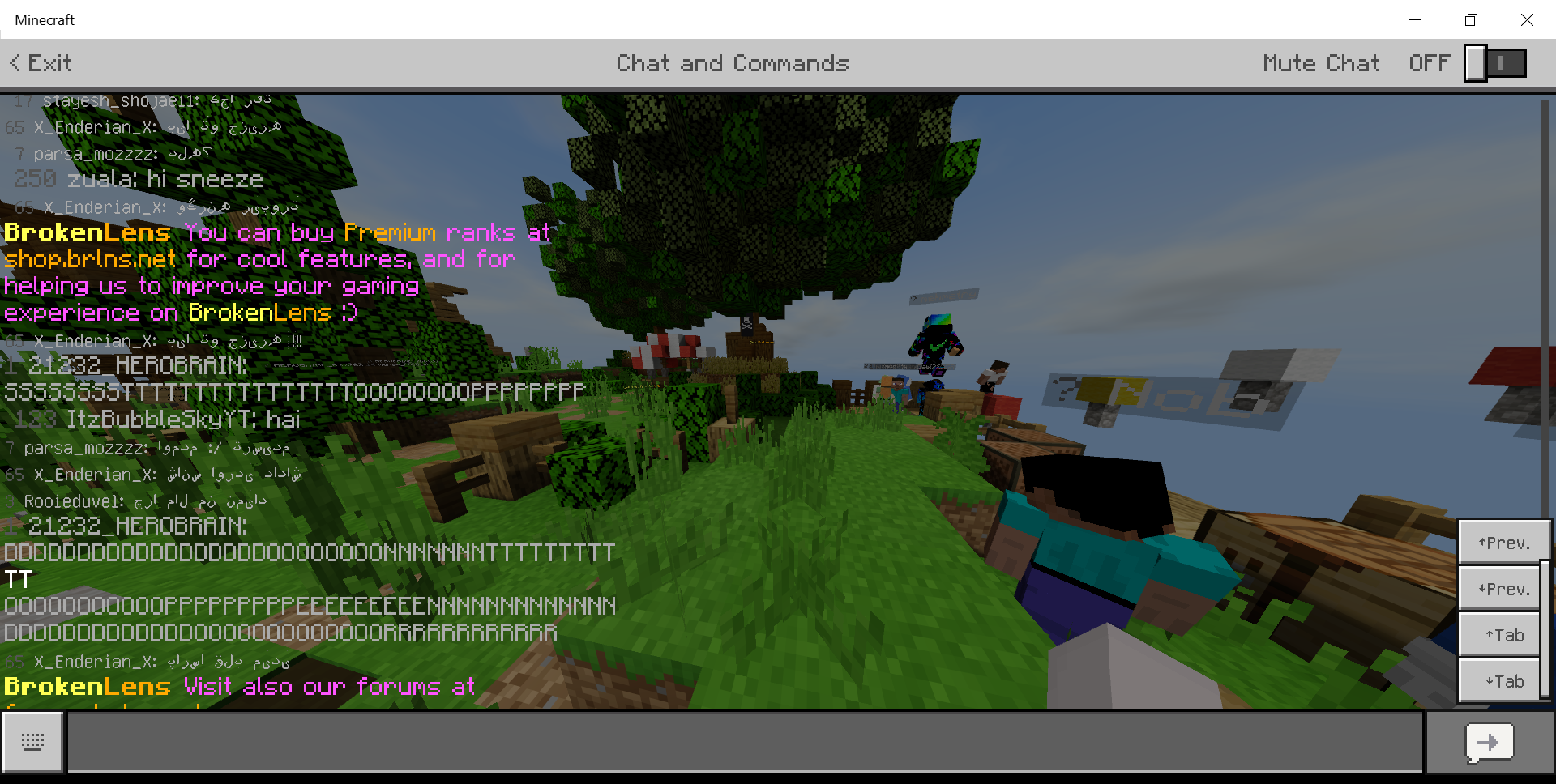 Minecraft 15_06_2020 8_53_11 PM.png