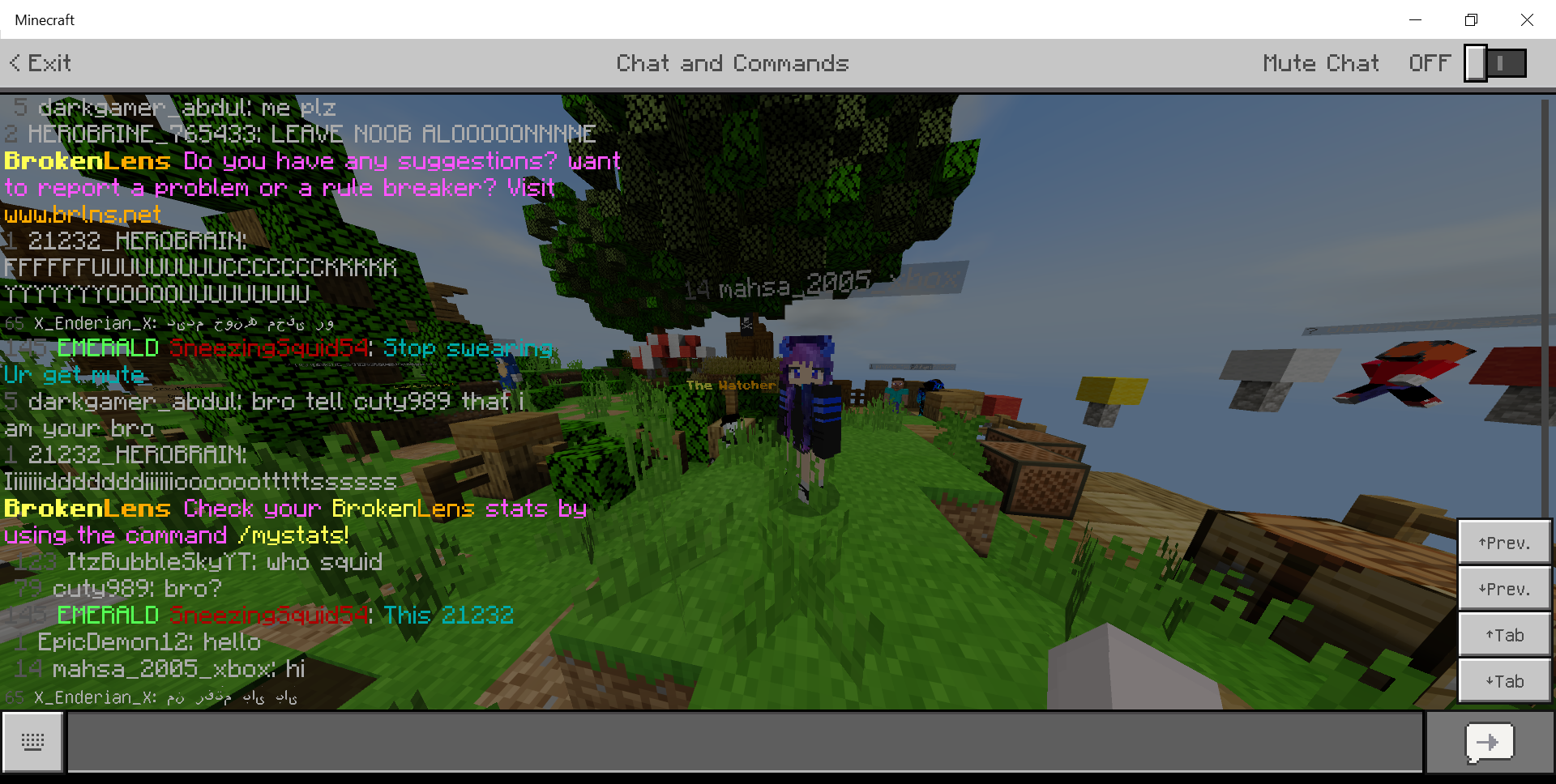 Minecraft 15_06_2020 8_55_09 PM.png
