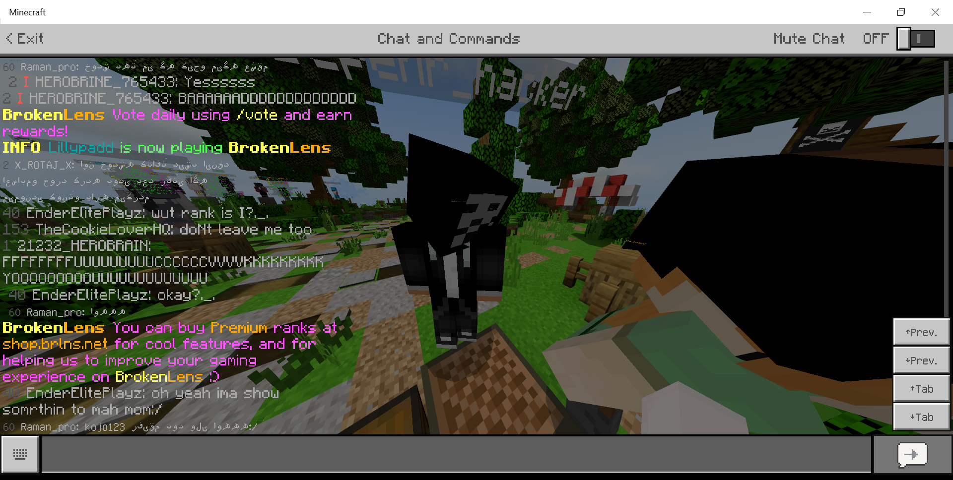 Minecraft 15_06_2020 9_14_47 PM.png