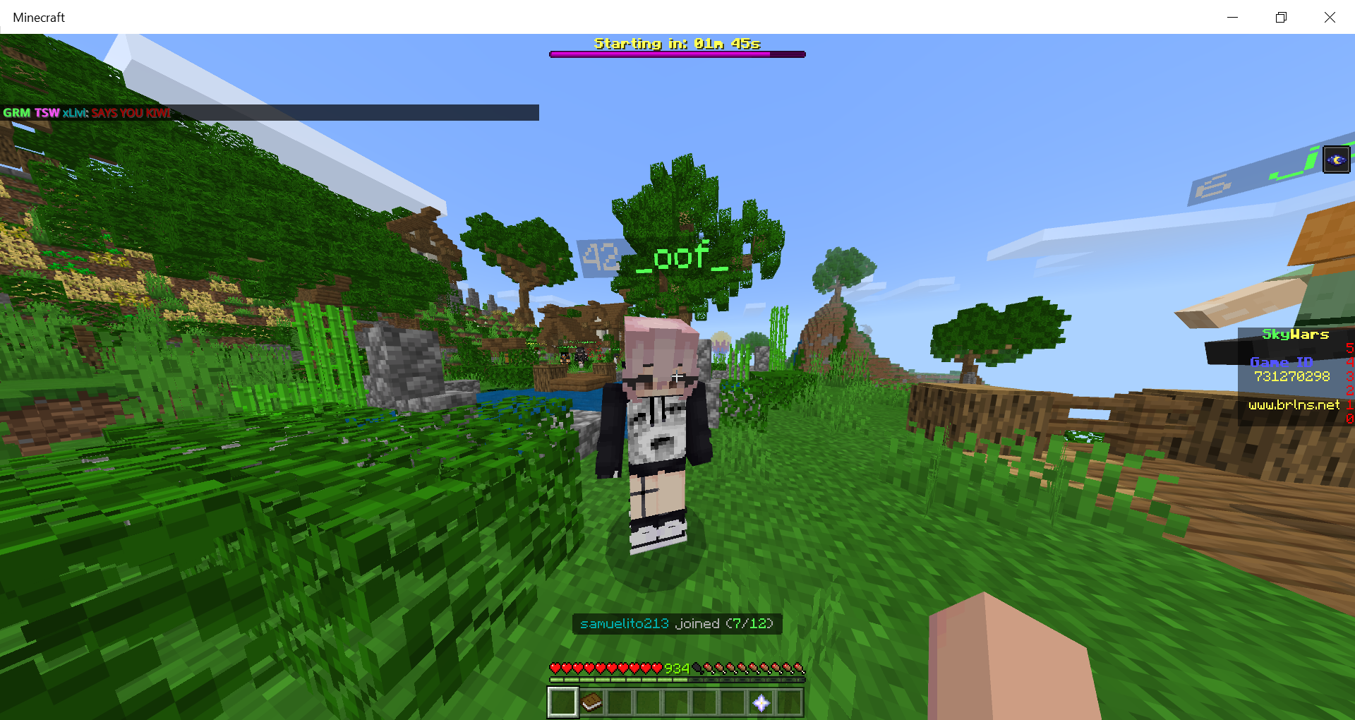 Minecraft 15_08_2020 10_34_50 AM.png