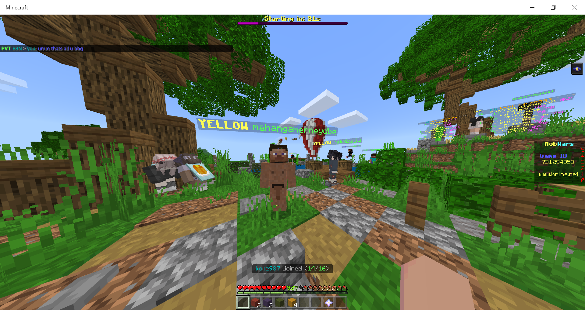 Minecraft 16_08_2020 4_27_55 PM.png