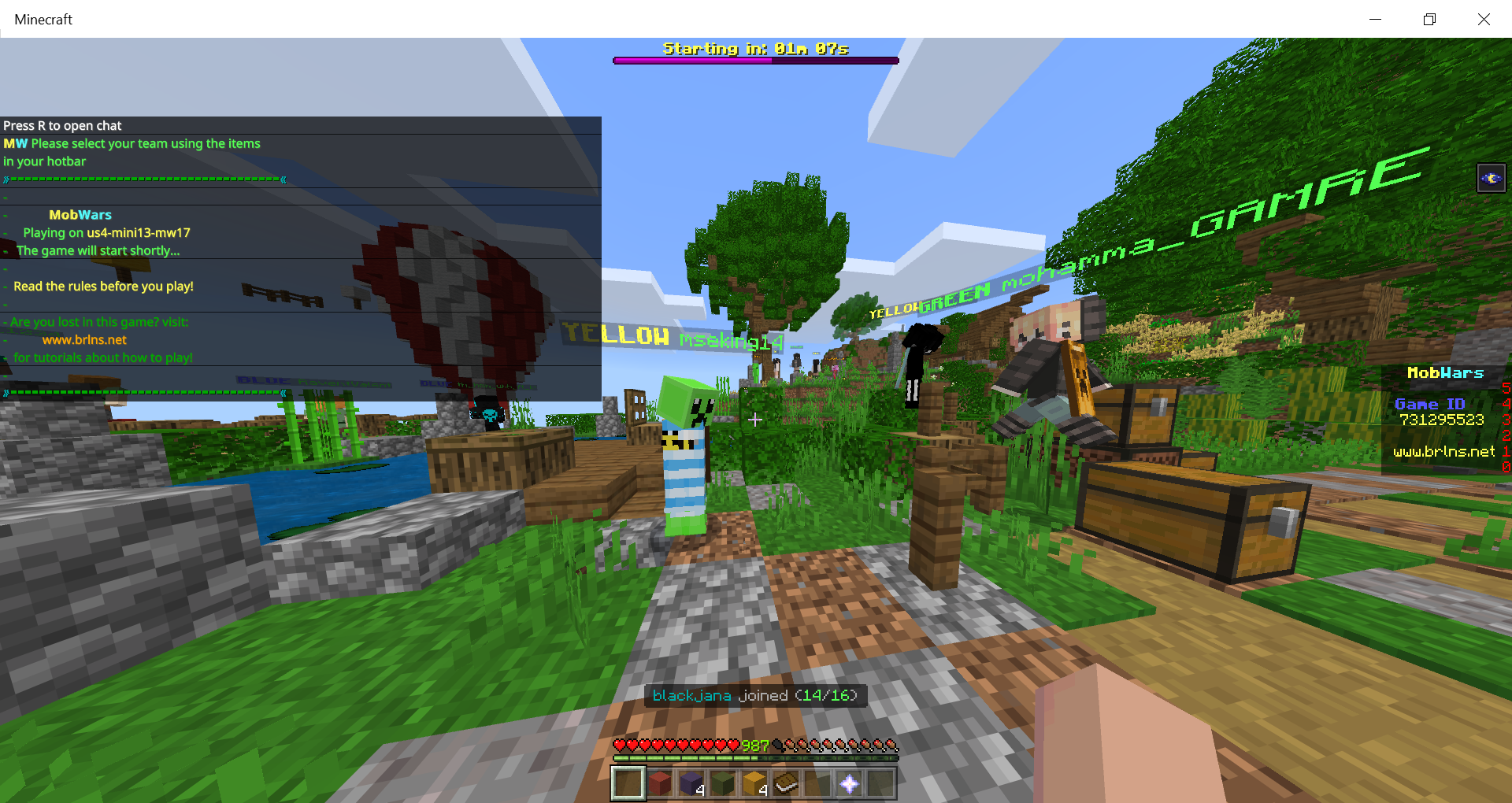 Minecraft 16_08_2020 4_40_48 PM.png