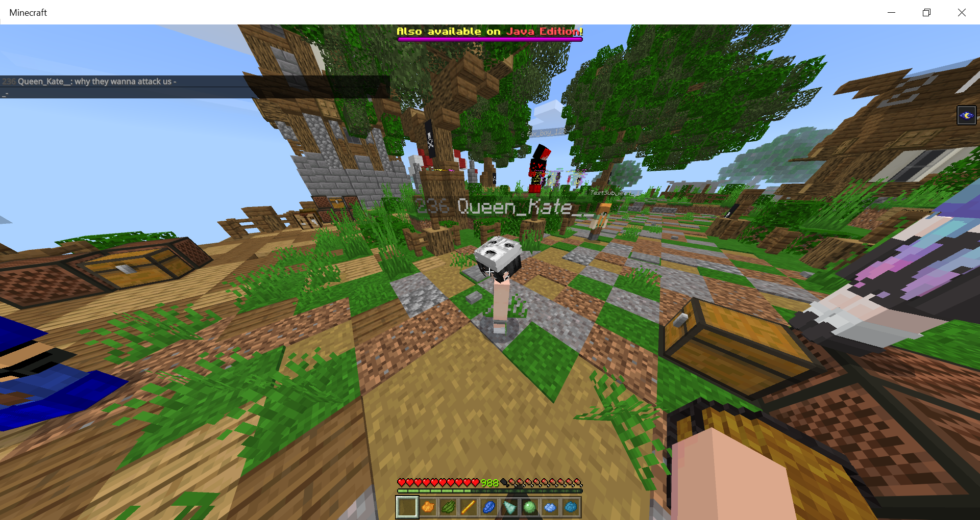 Minecraft 16_08_2020 7_02_11 PM.png