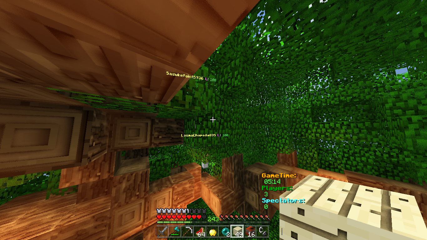 Minecraft 17_05_2018 21_39_39.png