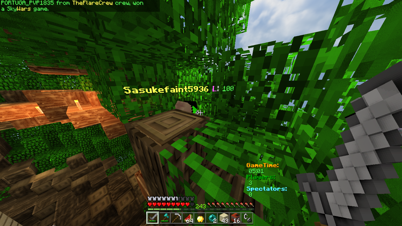 Minecraft 17_05_2018 21_39_52.png