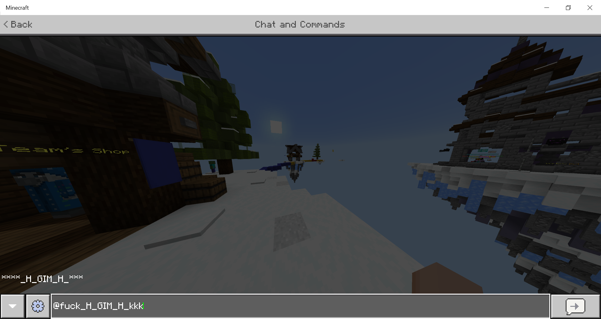 Minecraft 17_07_2020 7_24_52 PM.png