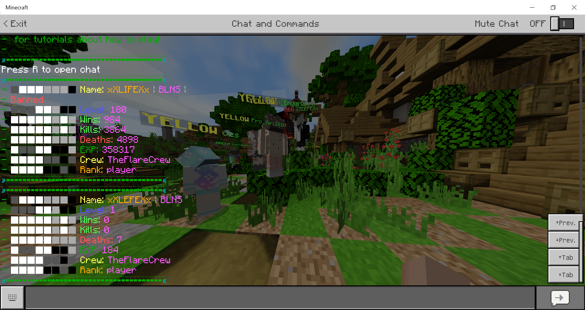 Minecraft 19_07_2020 11_45_09 PM.png
