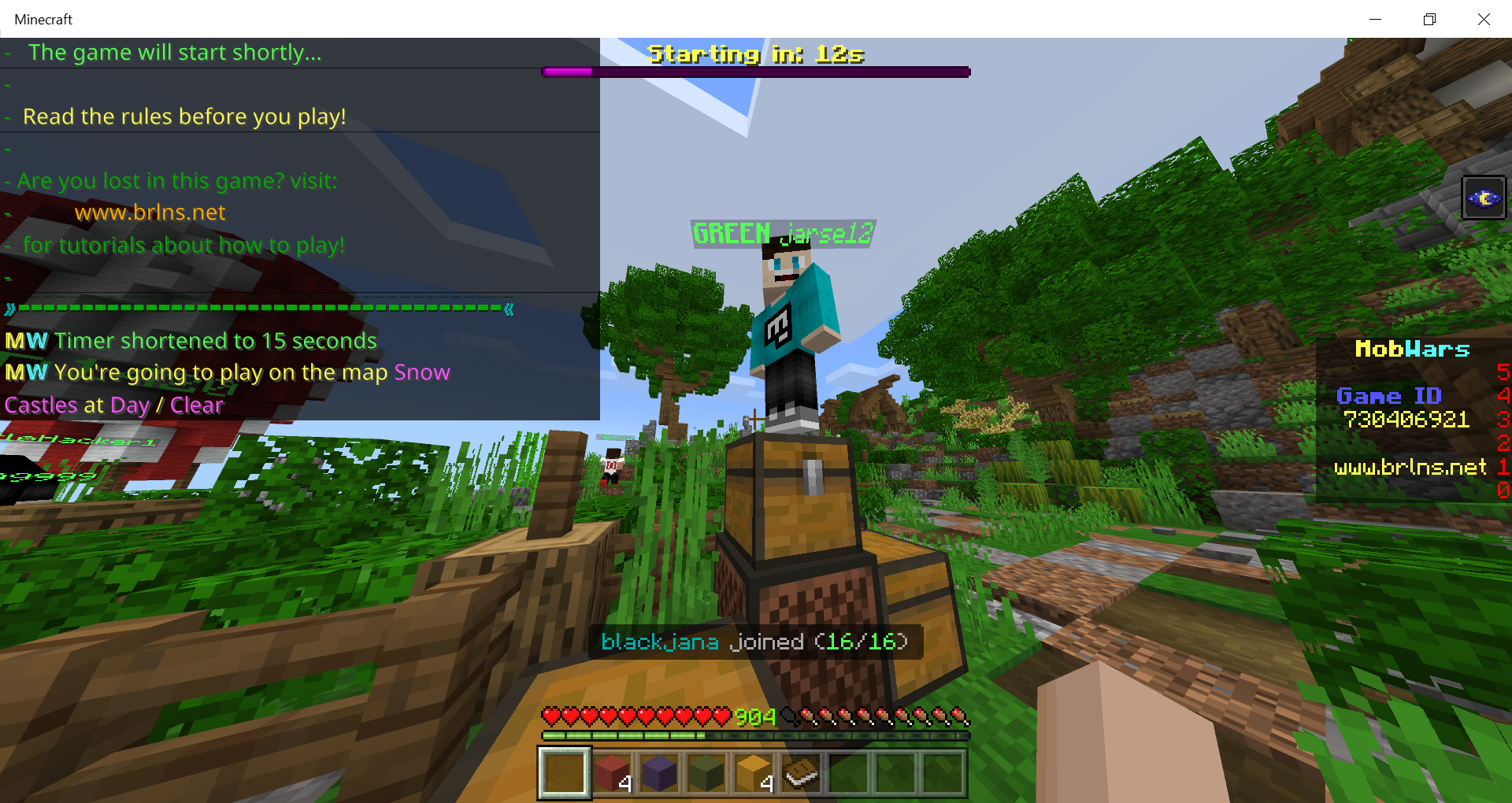 Minecraft 1_07_2020 8_15_02 PM.png