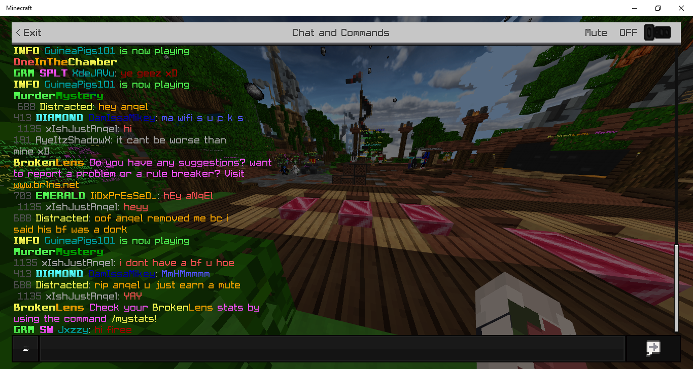 Minecraft 1_18_2019 10_44_50 PM.png