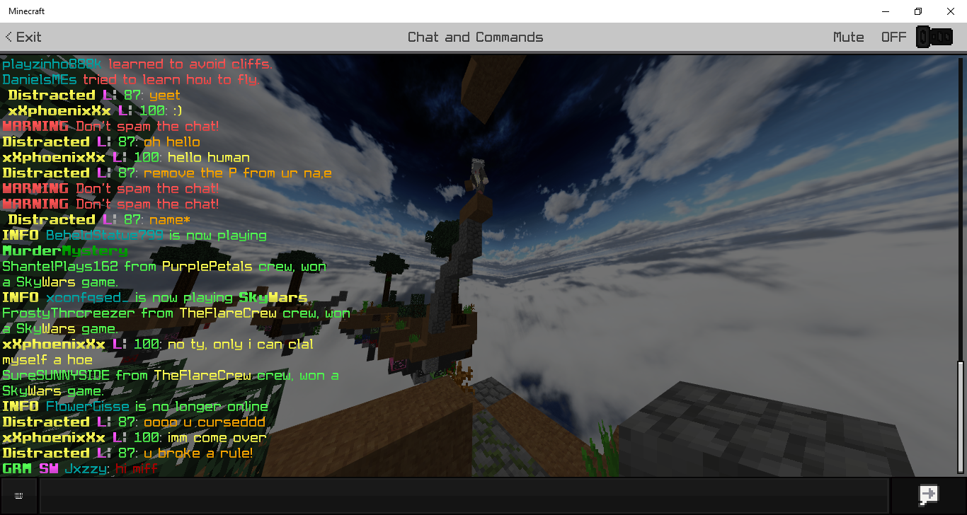 Minecraft 1_21_2019 4_41_19 PM.png