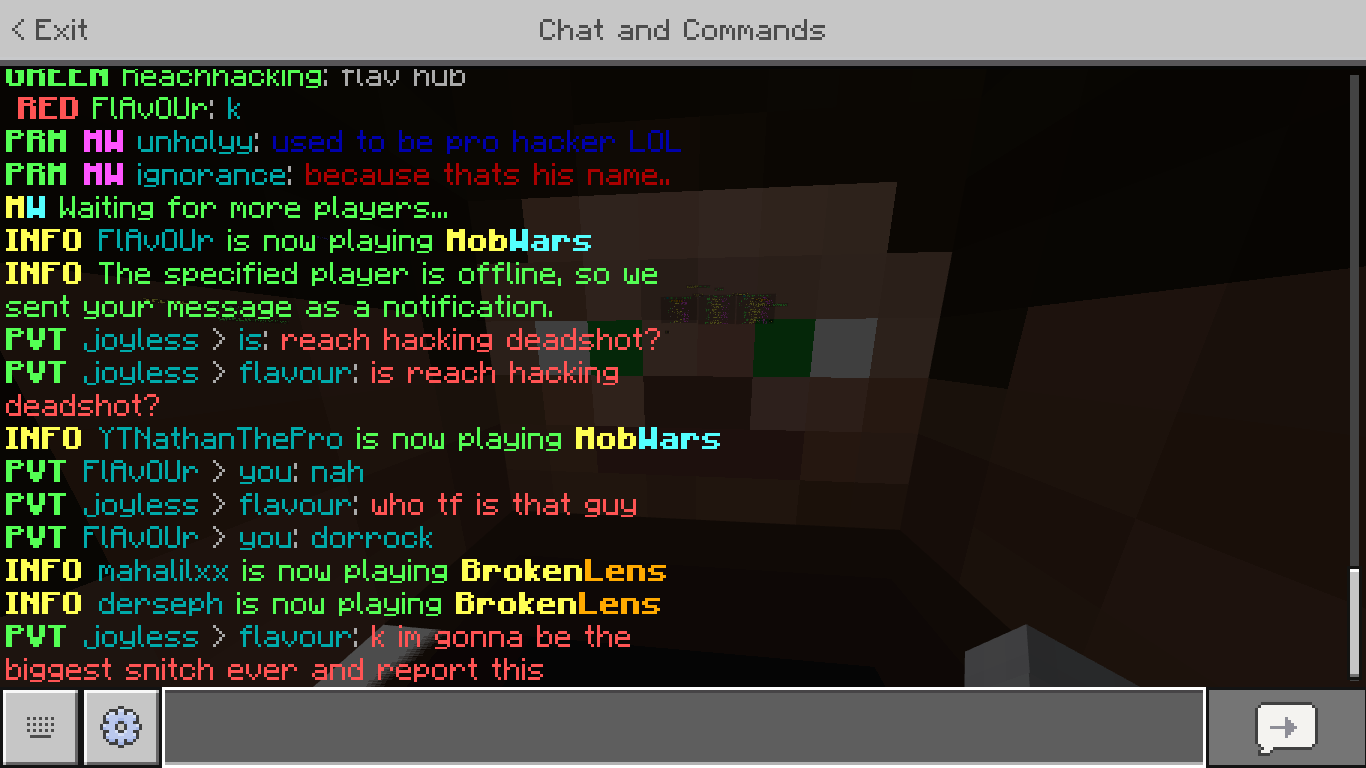 Minecraft 1_24_2021 6_54_44 PM.png