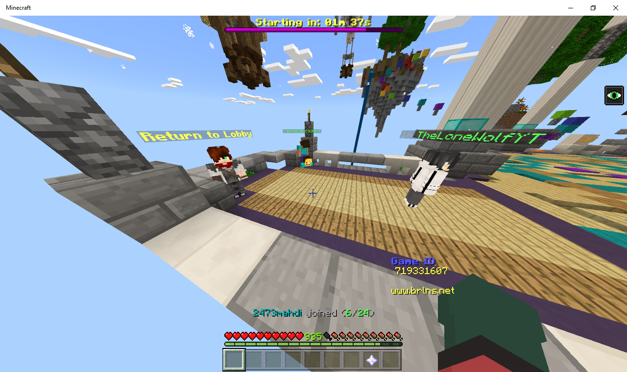 Minecraft 1_2_2019 1_43_06 AM.png